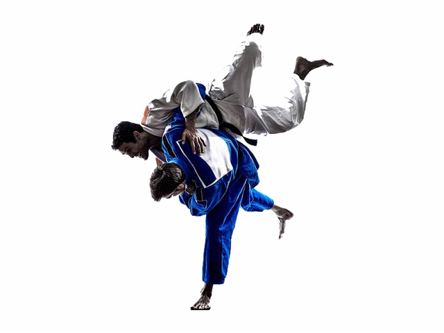 Are you allowed to wear a black gi in judo?